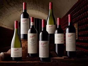 葡萄酒最新爆料文案,独家爆料带你领略非凡风味  第2张